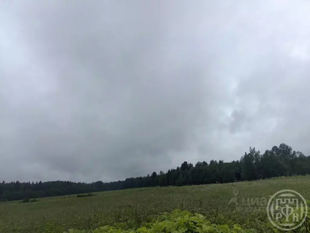 Участок в Псковская область, Куньинский район, Каськовская волость, д. ... - Фото 2