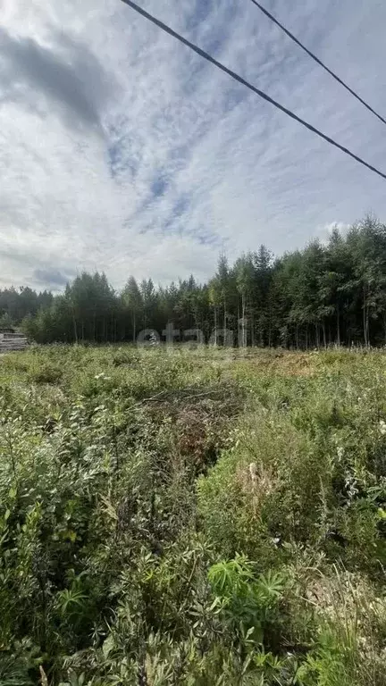 Участок в Коми, Сыктывкар городской округ, Верхняя Максаковка пгт, ... - Фото 0