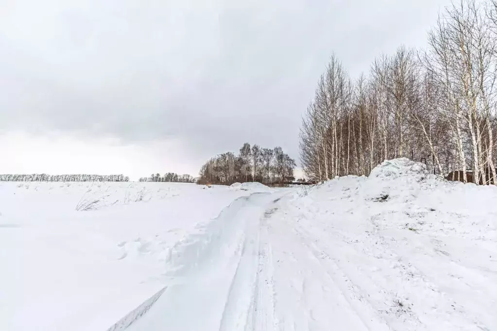 Участок в Новосибирская область, Бердск Марьин Лог СНТ,  (6.3 сот.) - Фото 0