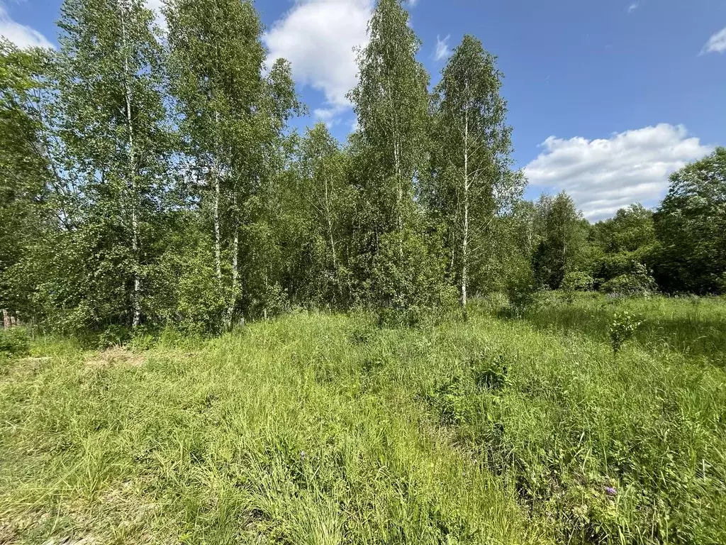 Участок в Иркутская область, Иркутский муниципальный округ, д. ... - Фото 1