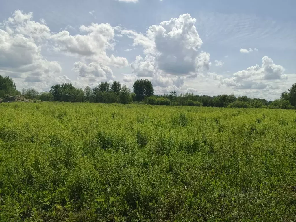 Участок в Нижегородская область, Бор  (8.0 сот.) - Фото 0