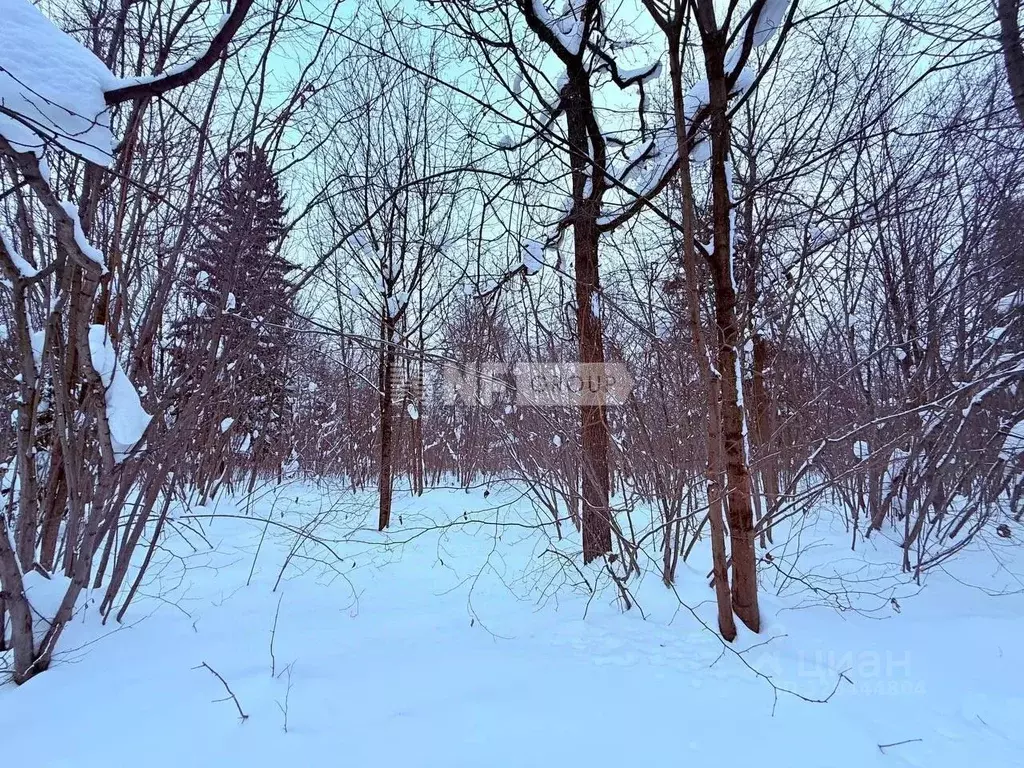 Участок в Московская область, Одинцовский городской округ, Тайм кп  ... - Фото 1