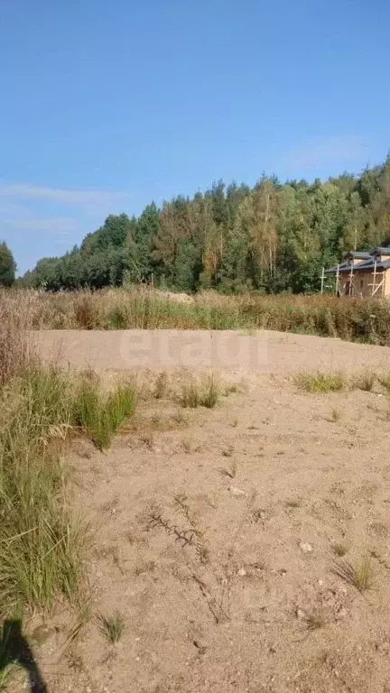 Участок в Ленинградская область, Приозерский район, Красноозерное ... - Фото 1