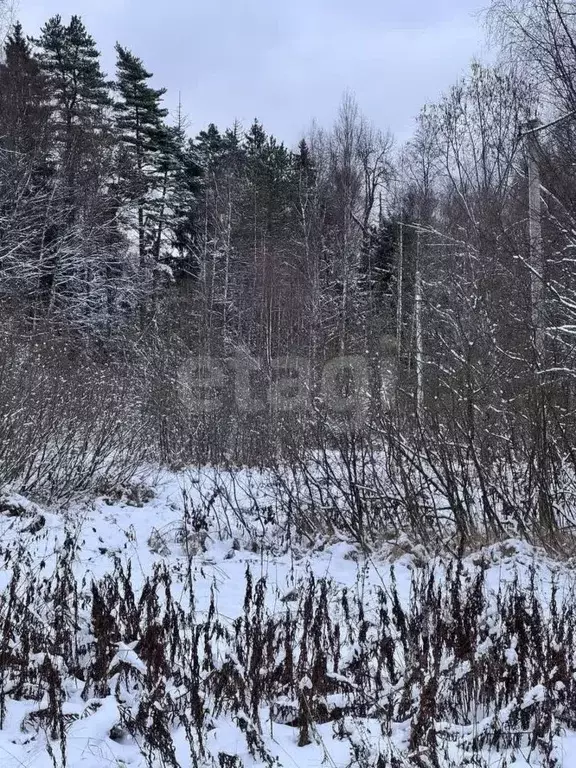 Участок в Московская область, Дмитровский муниципальный округ, ... - Фото 1