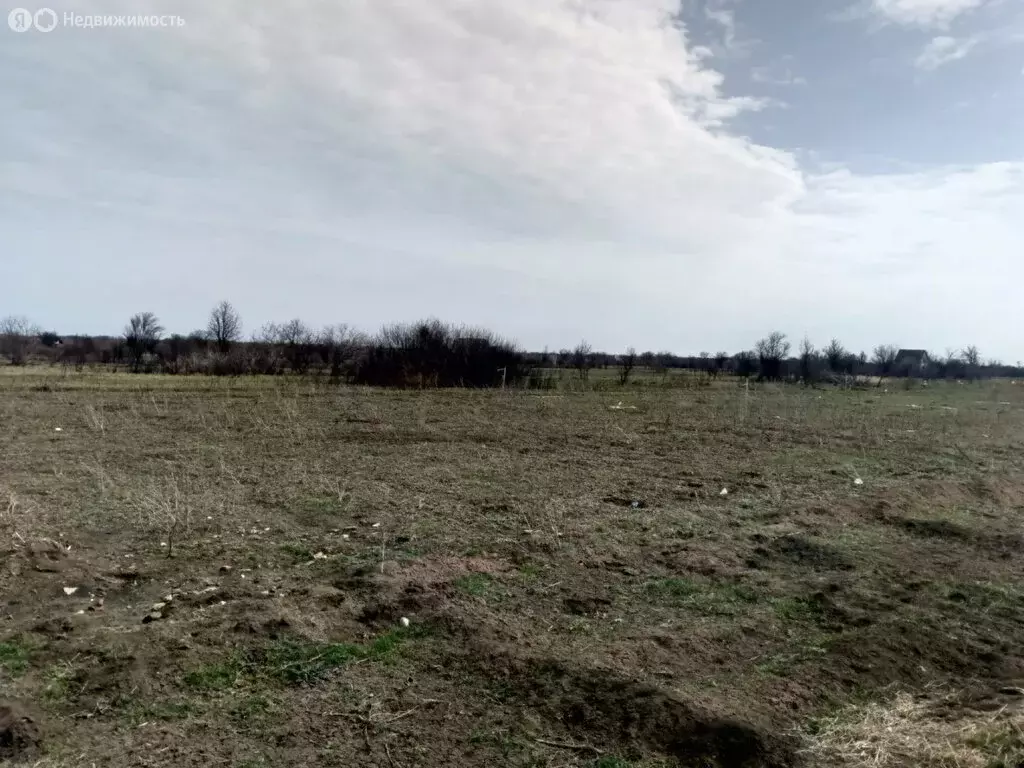 Участок в Ейск, СНТ Виктория (8 м) - Фото 0