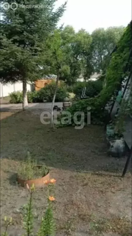 Дом в Райчихинск, Тенистая улица (150 м) - Фото 2