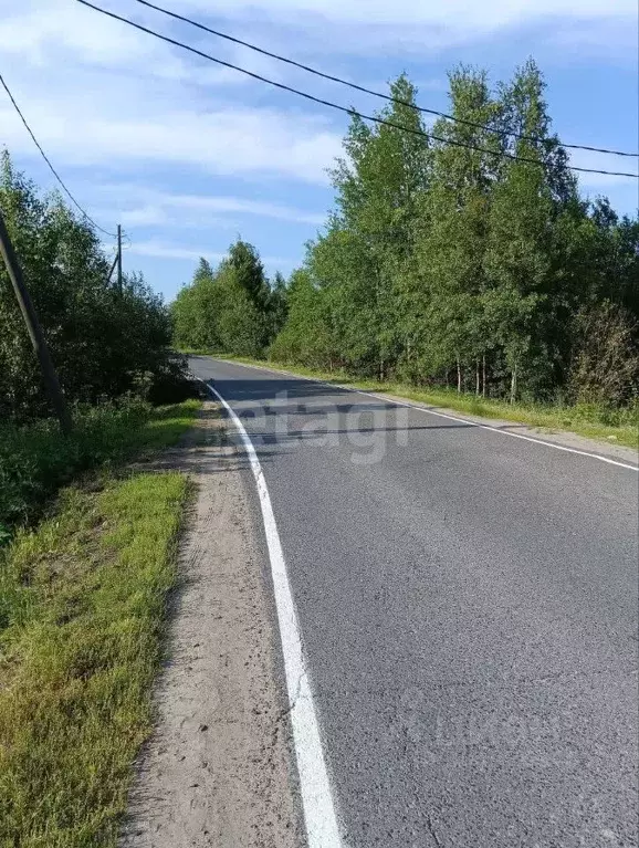 Участок в Архангельская область, Северодвинск муниципальное ... - Фото 0