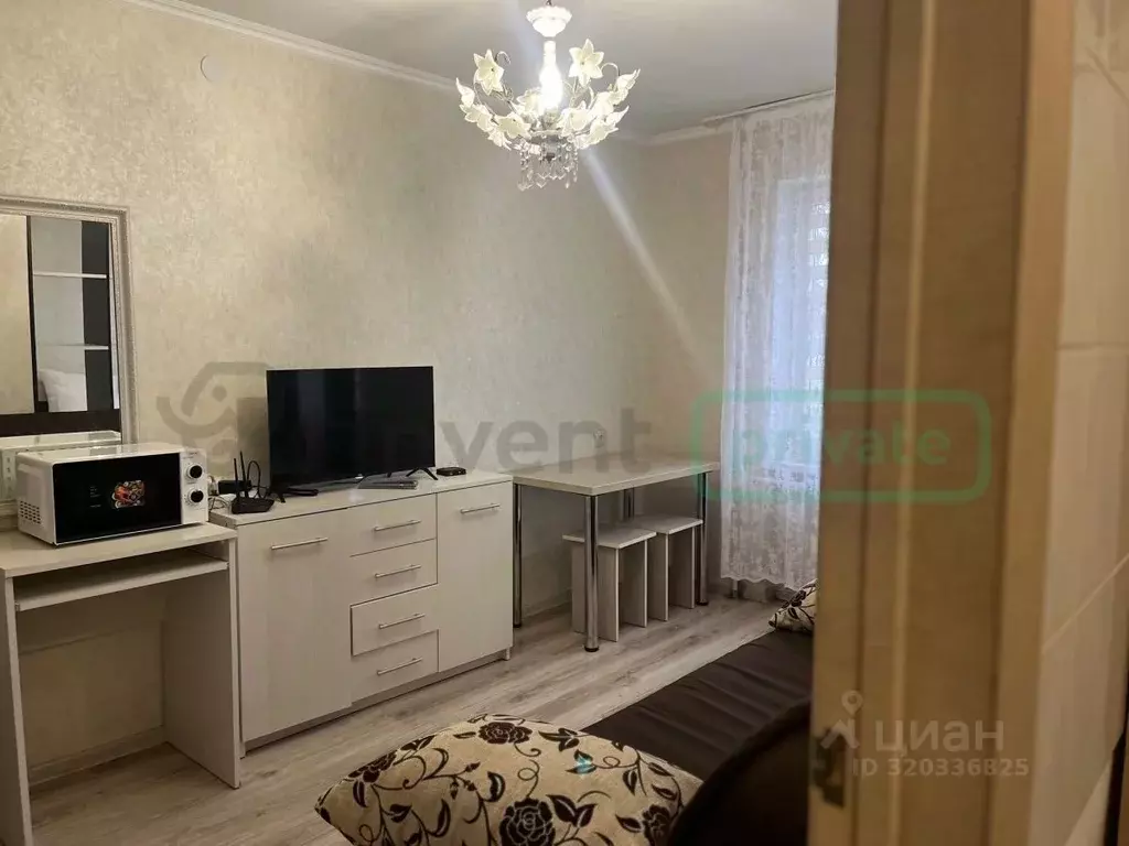 1-к кв. Калининградская область, Калининград Красная ул., 131 (24.9 м) - Фото 1