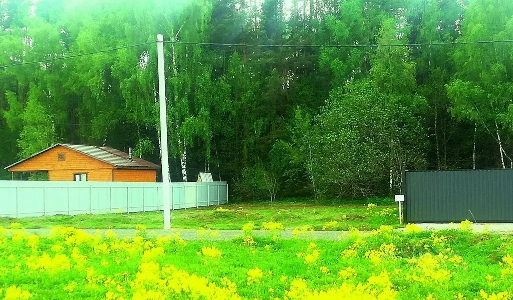 Участок в Московская область, Домодедово городской округ, д. Бехтеево ... - Фото 0