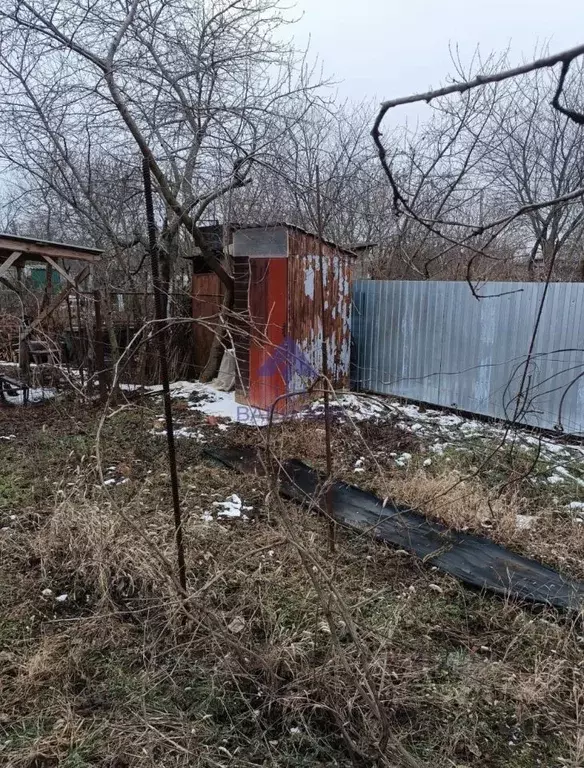 Участок в Ростовская область, Волгодонск Ветеран СНТ, ул. 4-я Линия ... - Фото 2