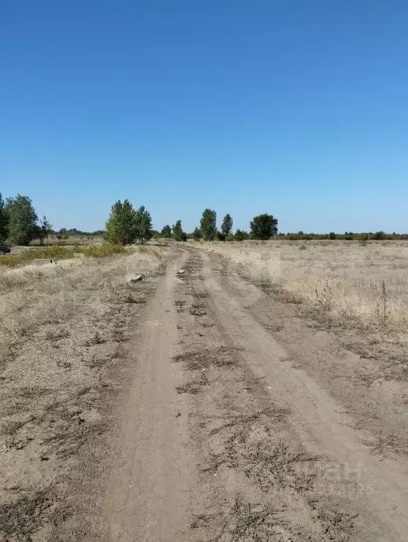 Участок в Волгоградская область, Среднеахтубинский район, Фрунзенское ... - Фото 2