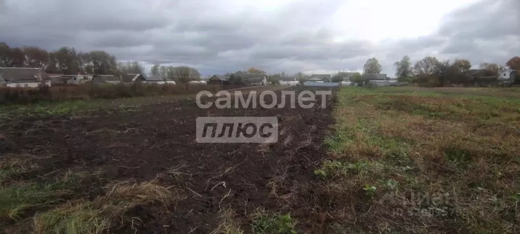 Участок в Брянская область, Брянский район, Отрадненское с/пос, с. ... - Фото 1