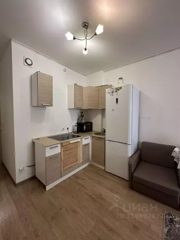 Студия Санкт-Петербург просп. Ветеранов, 171к1 (24.6 м) - Фото 1