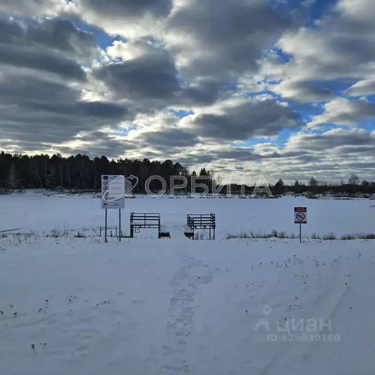 Участок в Тюменская область, Тюменский муниципальный округ, д. Ушакова ... - Фото 1
