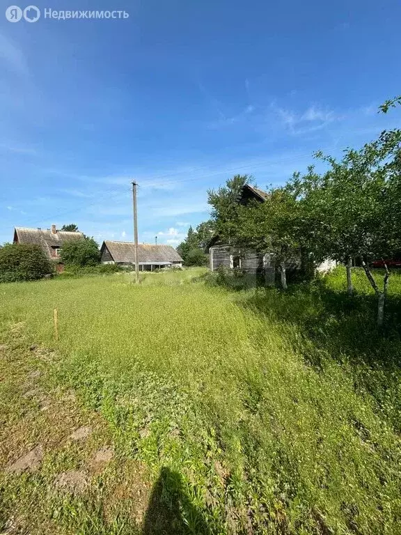 Участок в Псковская область, Печорский муниципальный округ, деревня ... - Фото 2