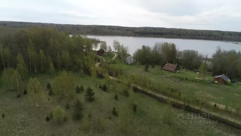 Участок в Новгородская область, Валдайский муниципальный округ, ... - Фото 1