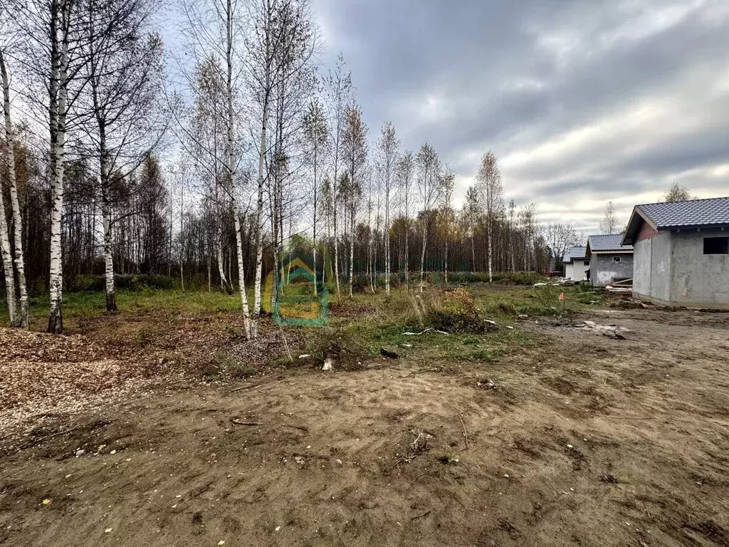 Участок в Ленинградская область, Всеволожск Румболовская ул. (14.5 ... - Фото 1