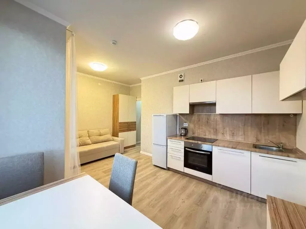 Студия Санкт-Петербург дор. Кушелевская, 1к2 (23.5 м) - Фото 1