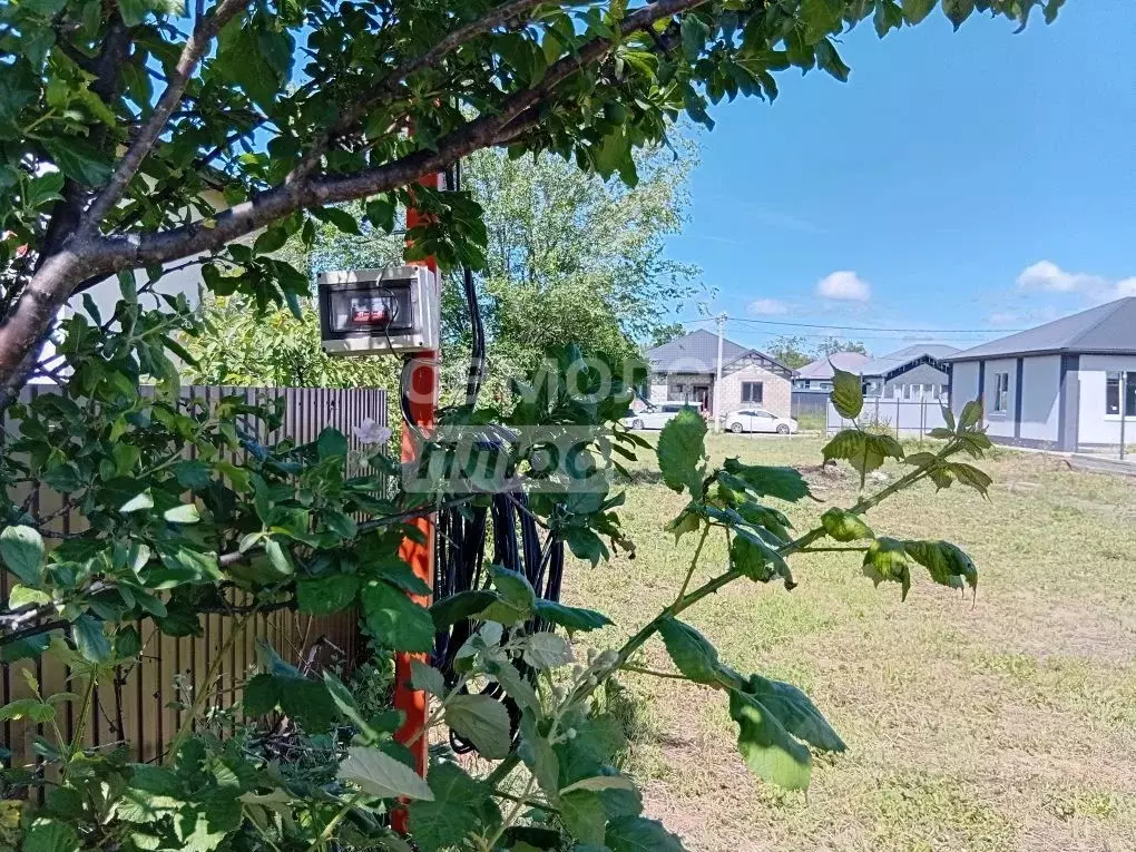Участок в Краснодарский край, Темрюк Факел СНТ, ул. Дачная, 53 (7.47 ... - Фото 1