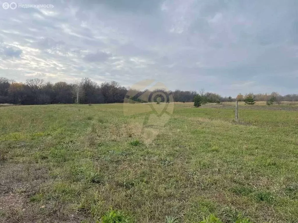 Участок в Старооскольский городской округ, село Черниково (15 м) - Фото 1