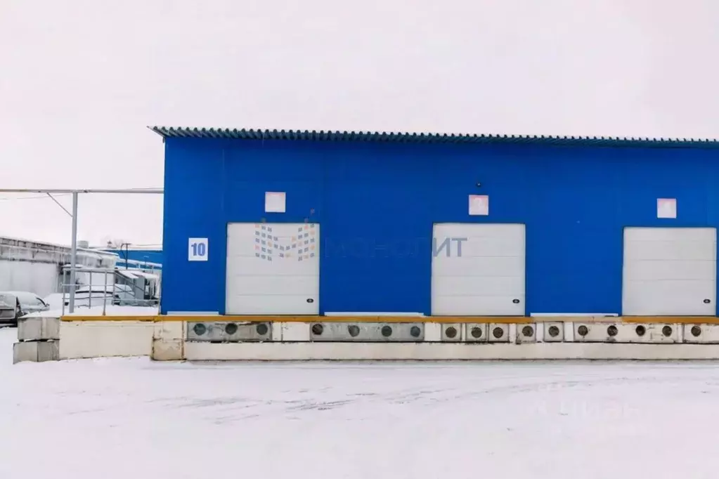 Склад в Нижегородская область, Нижний Новгород Торфяная ул. (356 м) - Фото 1