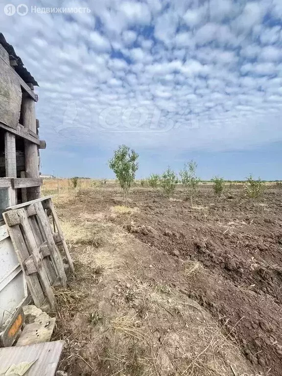 Участок в Дербентский район, сельское поселение Сабнова, село Сабнова ... - Фото 1