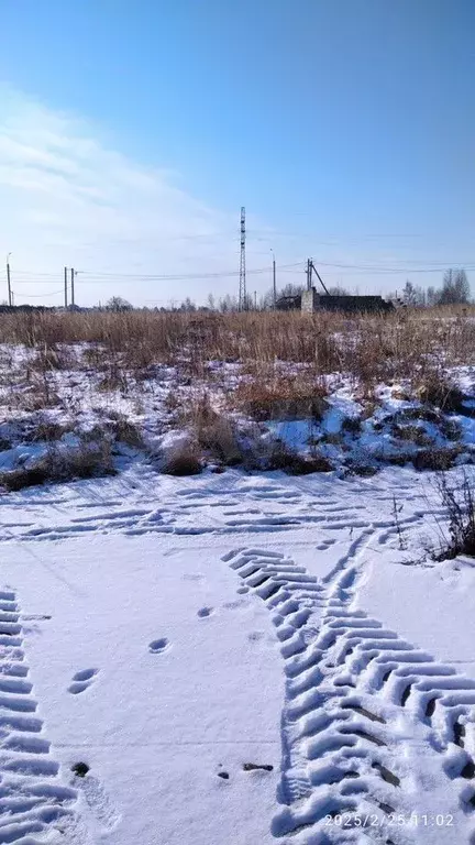 Участок 11 сот. (ИЖС) - Фото 1