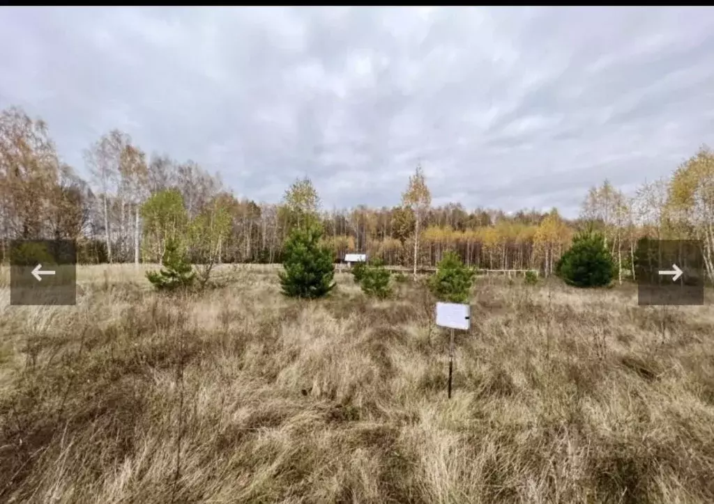 Участок в Кировская область, Вятскополянский район, Красная Поляна ... - Фото 1