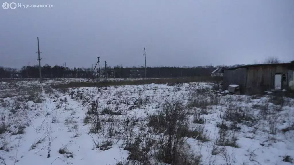 Участок в хутор Красный Восток, Весёлая улица (15 м) - Фото 2
