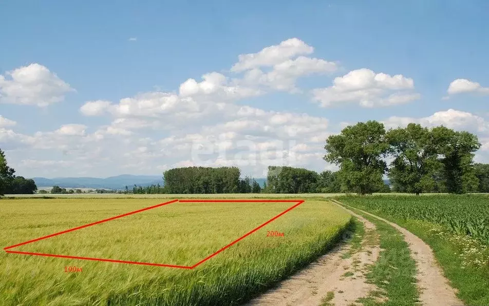 Участок в Крым, Нижнегорский пгт  (206.89 сот.) - Фото 1