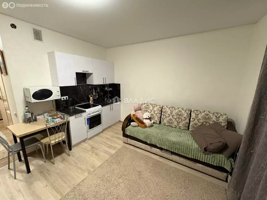 Квартира-студия: деревня Анкудиновка, Русская улица, 19 (30.2 м) - Фото 1