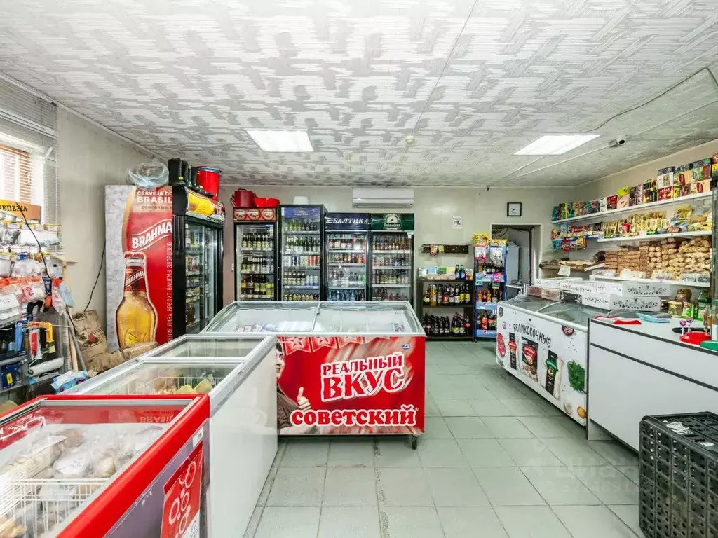 Торговая площадь в Новосибирская область, Мошковский район, с. Барлак ... - Фото 1