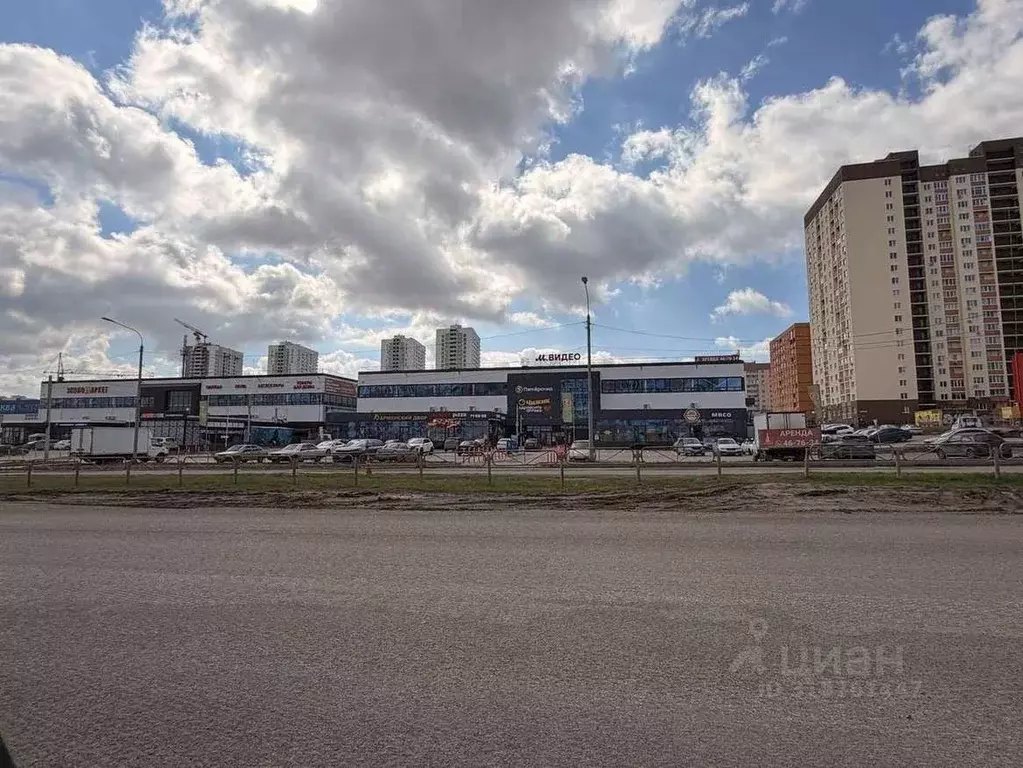 Торговая площадь в Саратовская область, Саратов ул. Имени С.Ф. ... - Фото 2