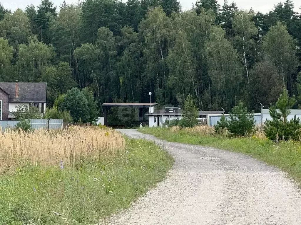 Участок в Калужская область, Тарусский муниципальный округ, КП ... - Фото 2
