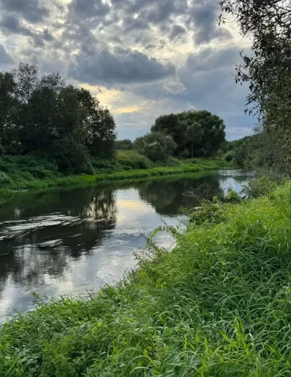 Участок в Московская область, Щелково городской округ, Море кп 68 ... - Фото 1