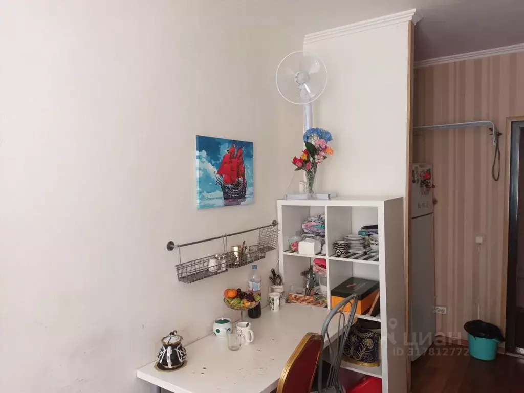 Комната Санкт-Петербург ул. Всеволода Вишневского, 16 (17.0 м) - Фото 0