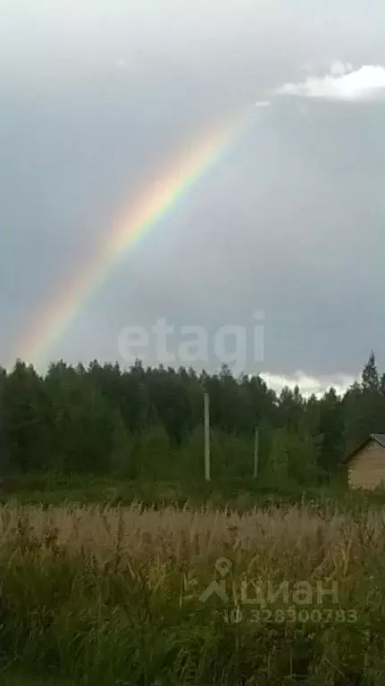 Участок в Ярославская область, Ярославский муниципальный округ, Росток ... - Фото 1