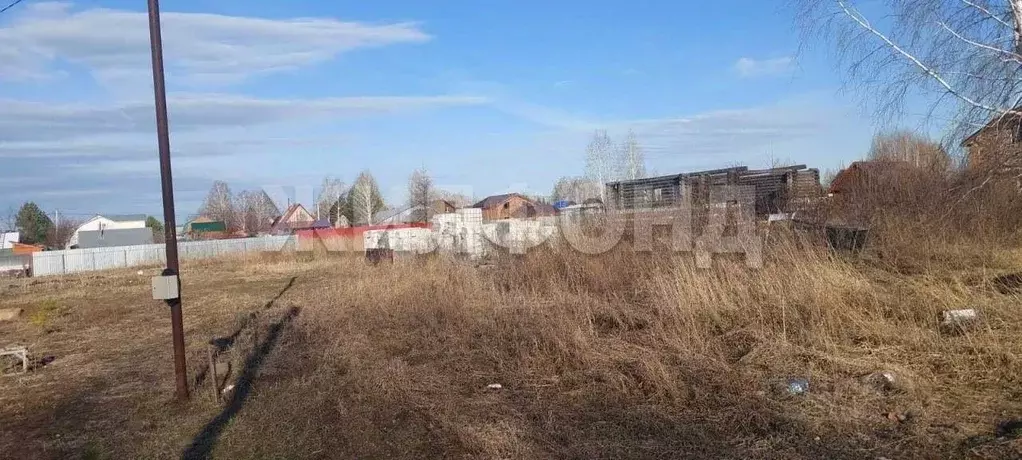 Участок в Новосибирская область, Коченевский район, Витязь садовое ... - Фото 2