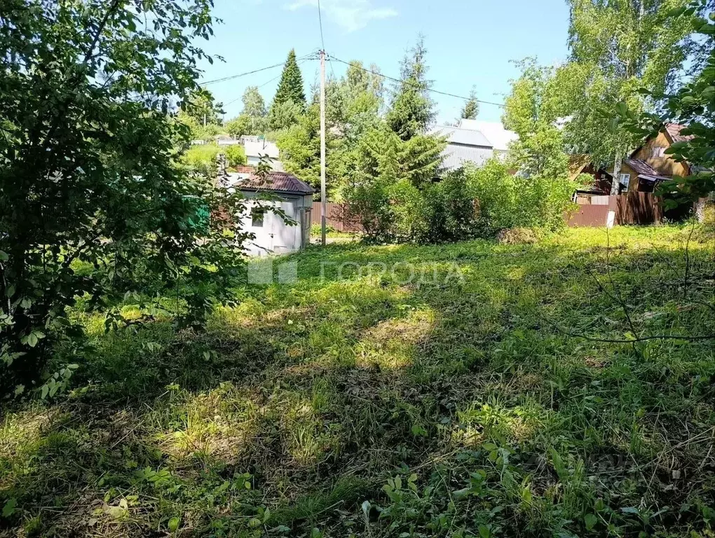 Участок в Новосибирская область, Новосибирский район, Раздольненский ... - Фото 1