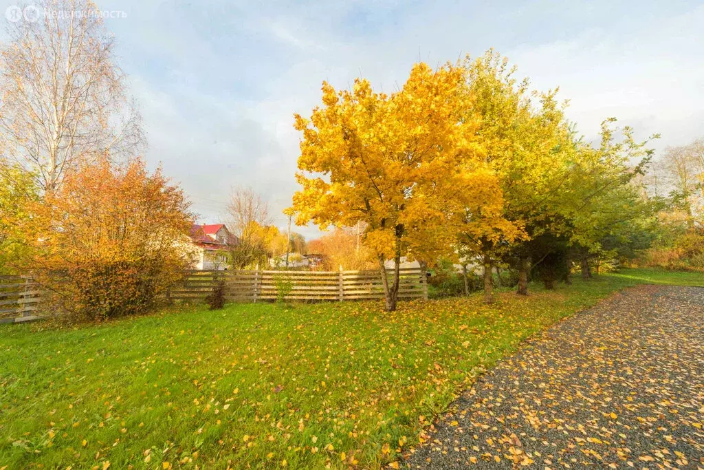 Участок в Шуйское сельское поселение, деревня Бесовец, деревня Нижний ... - Фото 1