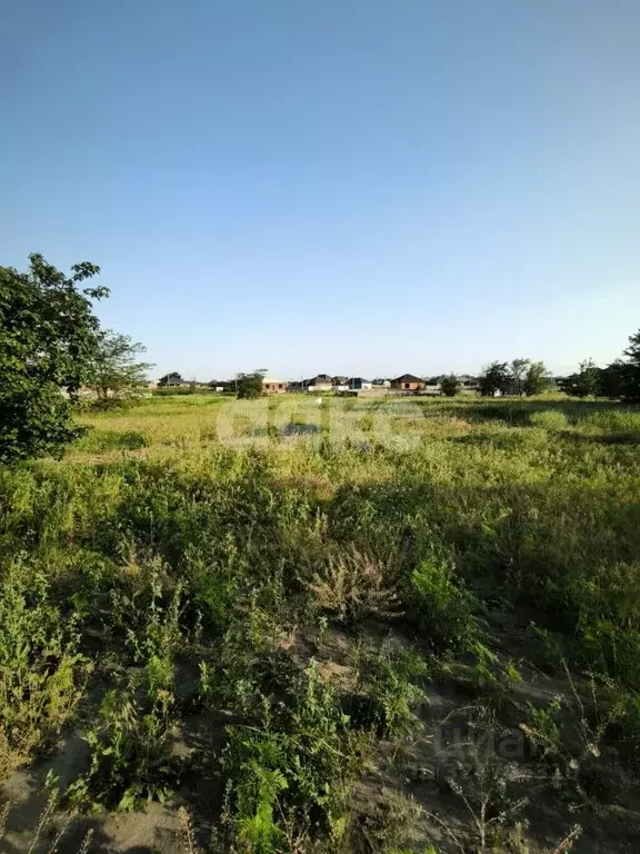 Участок в Краснодарский край, Новокубанск ул. Добролюбова, 10 (6.0 ... - Фото 2