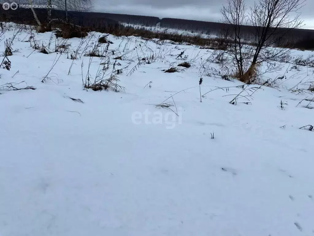 Участок в Нижегородская область, Дальнеконстантиновский муниципальный ... - Фото 1