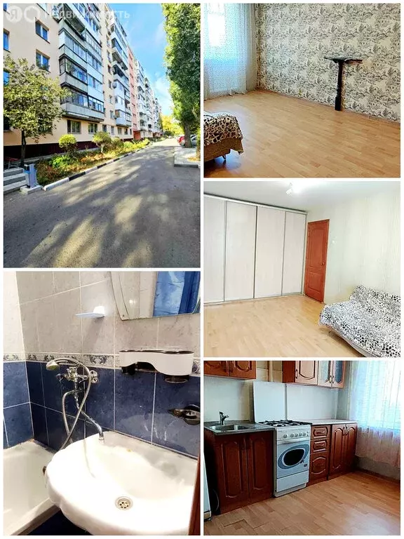 1-комнатная квартира: Саратов, Рябиновская улица, 6 (33 м) - Фото 1