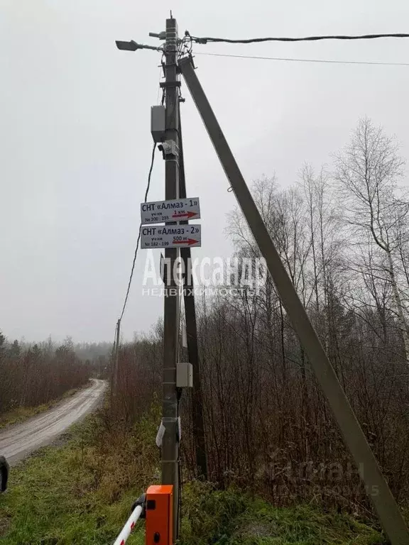 Участок в Ленинградская область, Приозерский район, Кузнечнинское ... - Фото 1