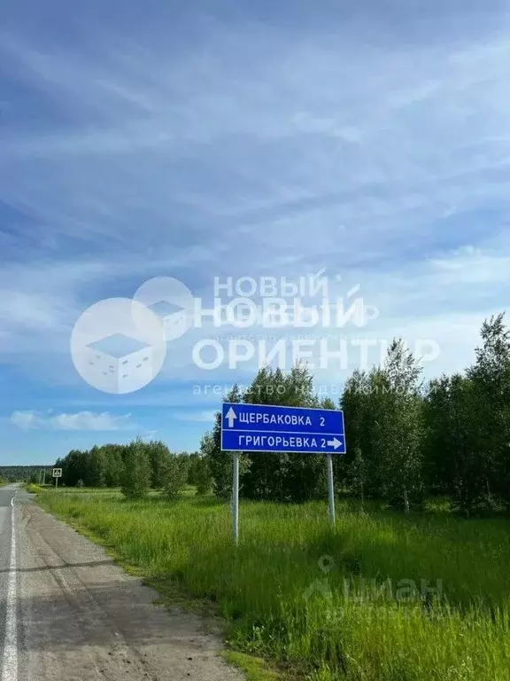 Участок в Челябинская область, Каслинский район, д. Григорьевка, Новая ... - Фото 0