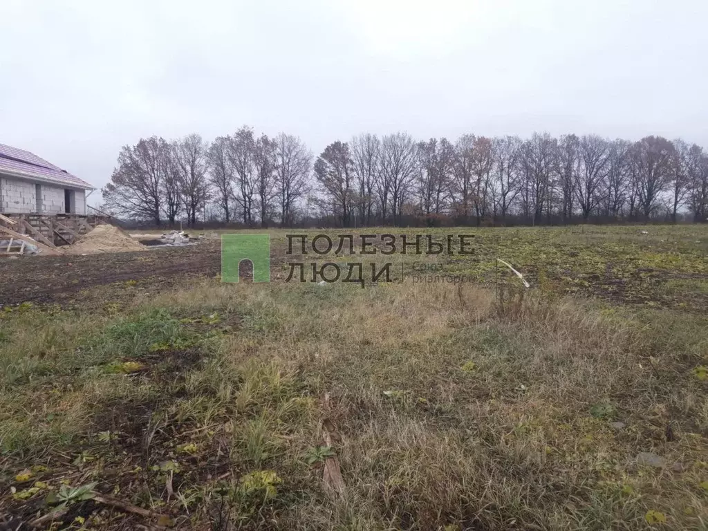 Участок в Тульская область, Тула городской округ, д. Новая Знаменка ... - Фото 1