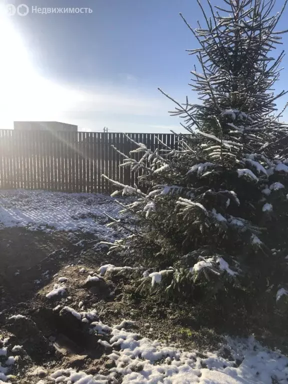 Участок в Московская область, муниципальный округ Чехов, деревня ... - Фото 2