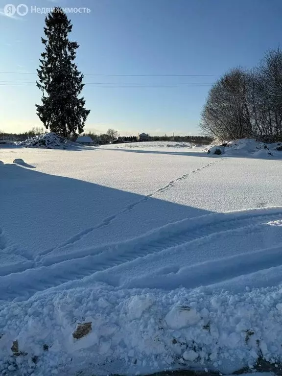 Участок в деревня Лехтуси, Центральная улица, 3 (9.73 м) - Фото 0