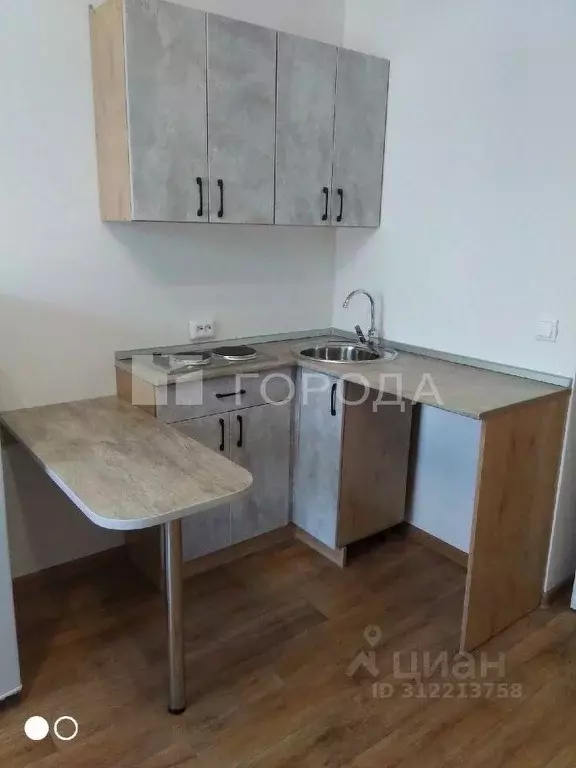1-к кв. Алтайский край, Барнаул ул. Аванесова, 103 (25.0 м) - Фото 0