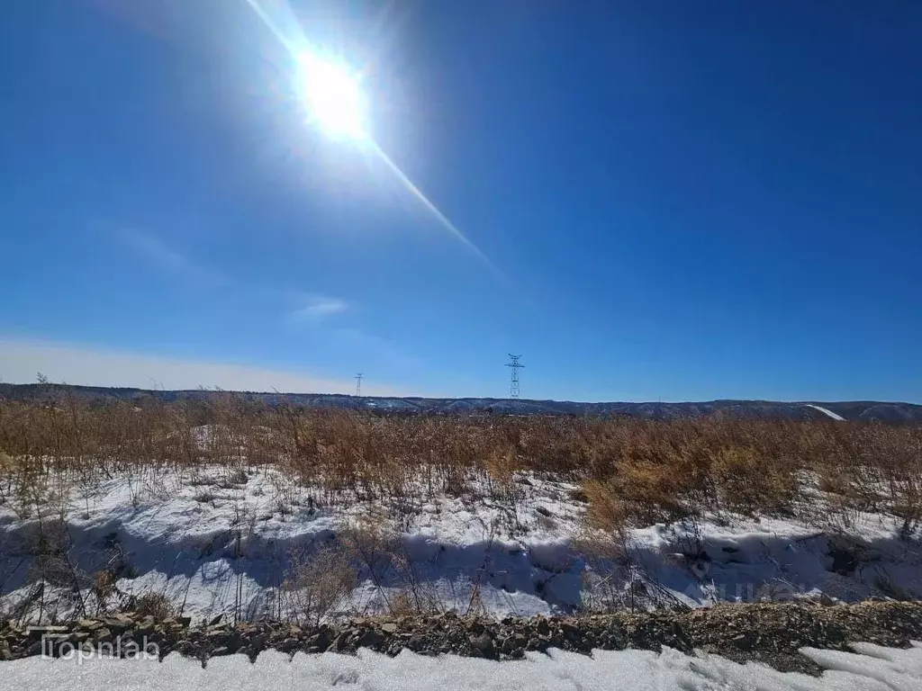 Участок в Амурская область, Благовещенский район, с. ... - Фото 2